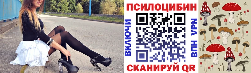 мега сайт  Невьянск  Псилоцибиновые грибы Cubensis  где купить наркоту 